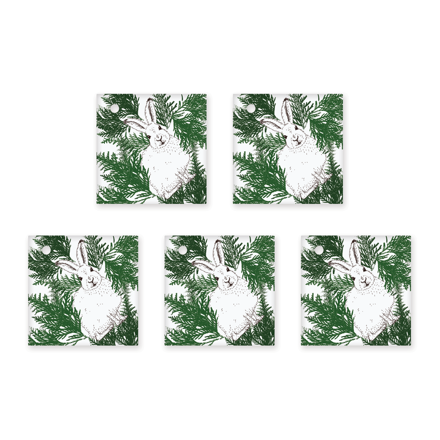 Arctic Hare Wrapping Paper and Tags