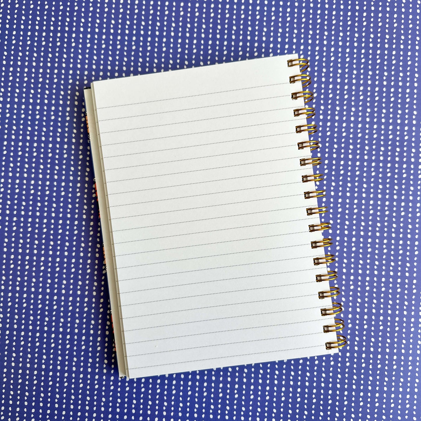 Monarch Butterfly Journal Gift Set