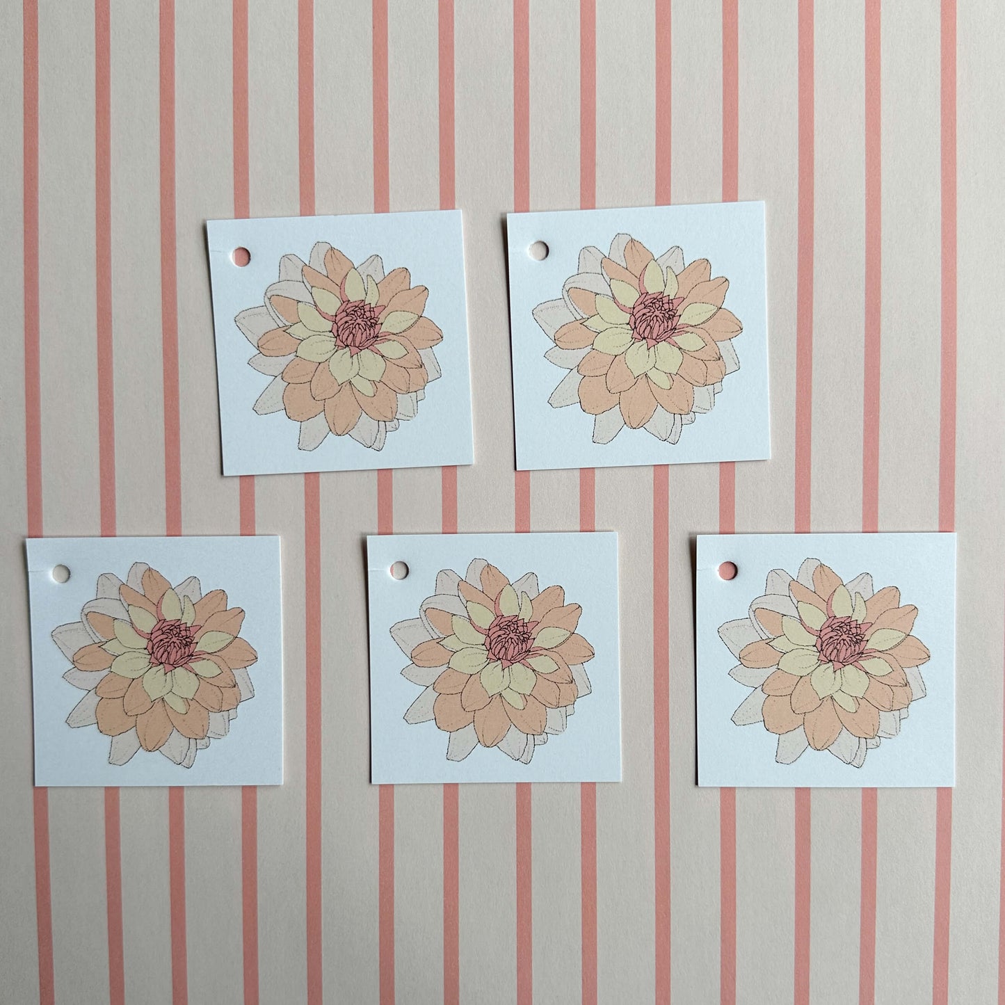 Dahlias in Pink Wrapping Paper and Tags