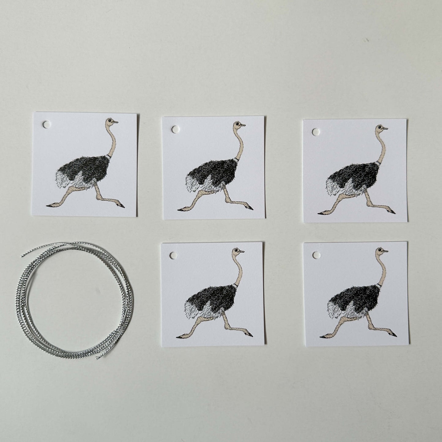 Ostrich Wrapping Paper and Tags
