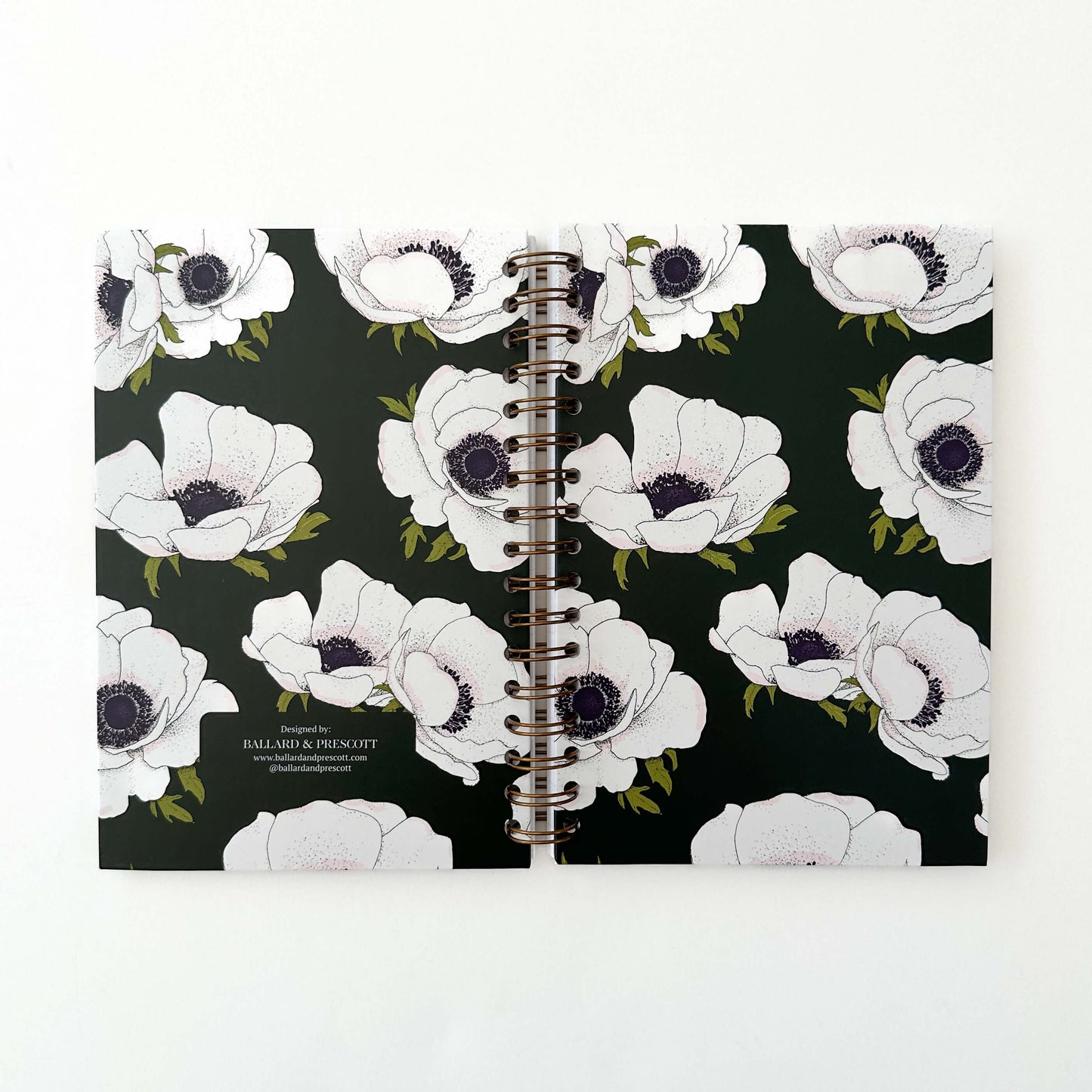 White Anemone Journal