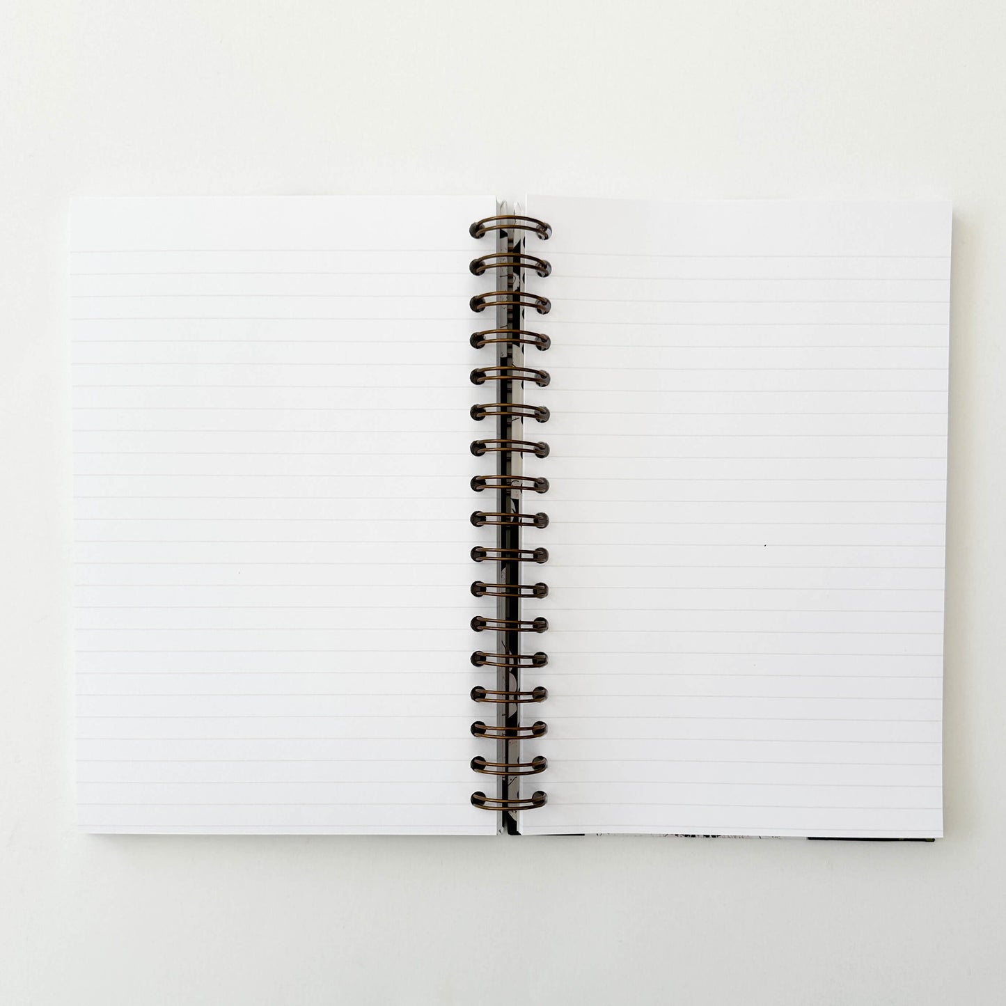 White Anemone Journal