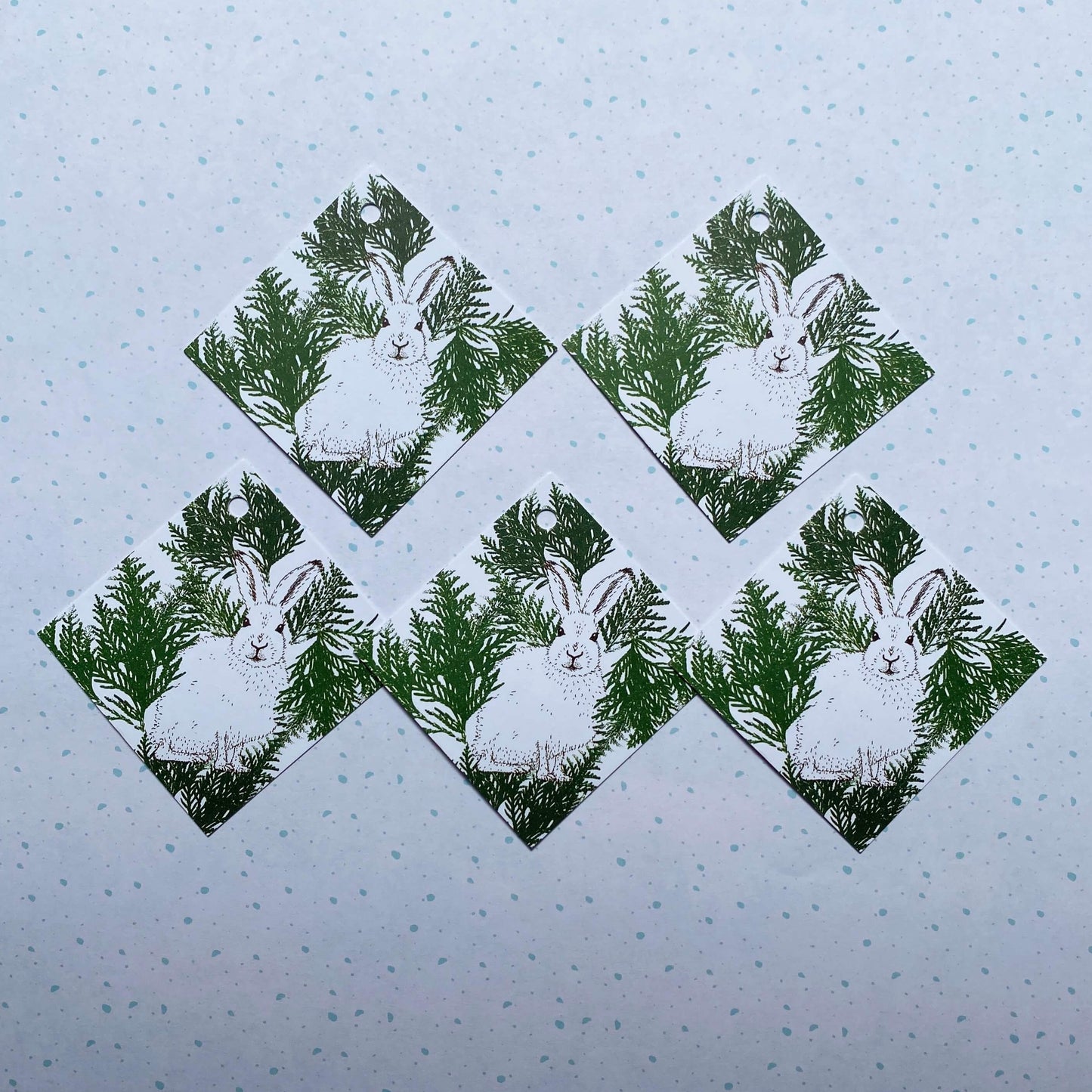 Arctic Hare Wrapping Paper and Tags