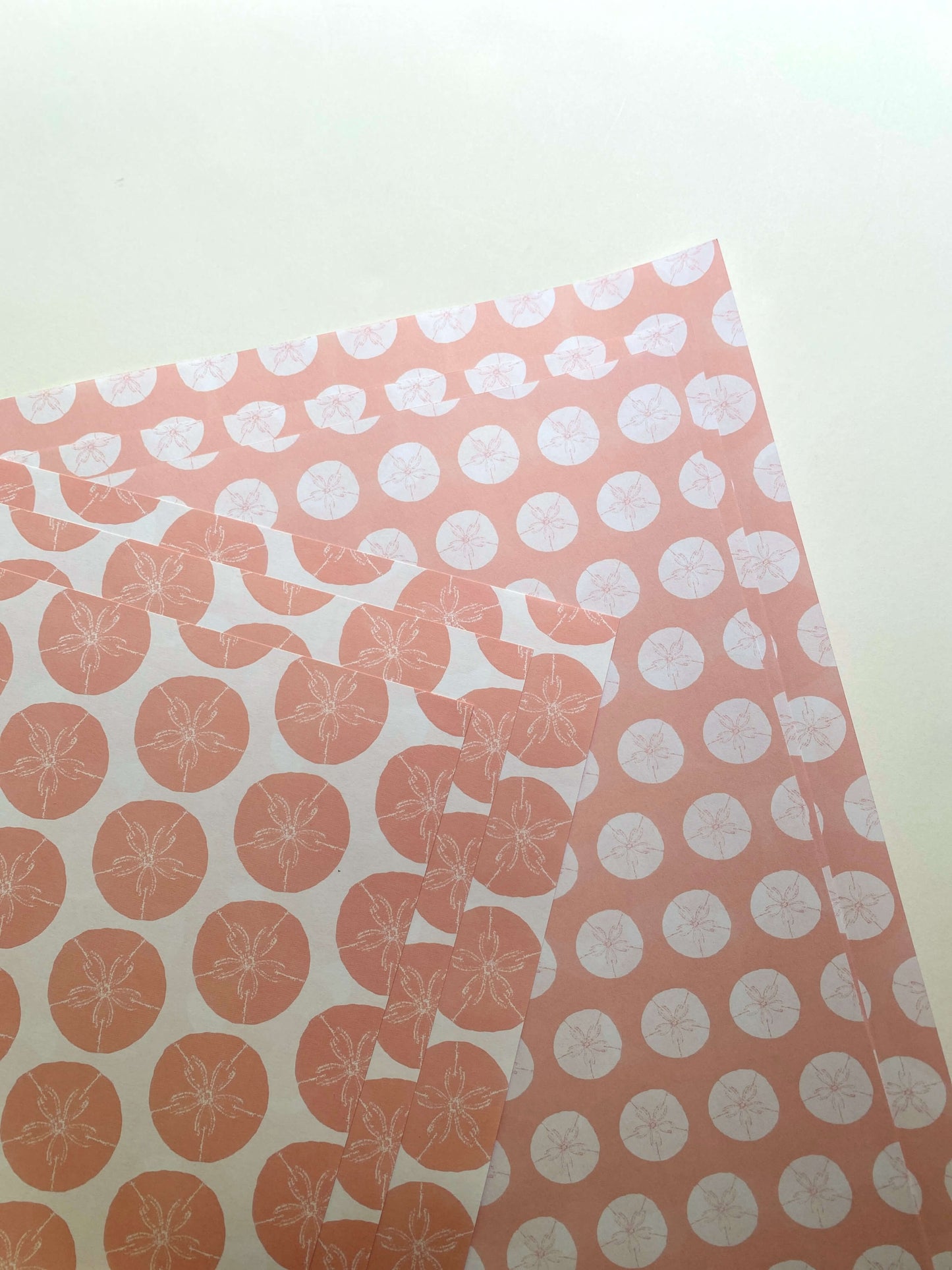 Sand Dollar Wrapping Paper - Pink