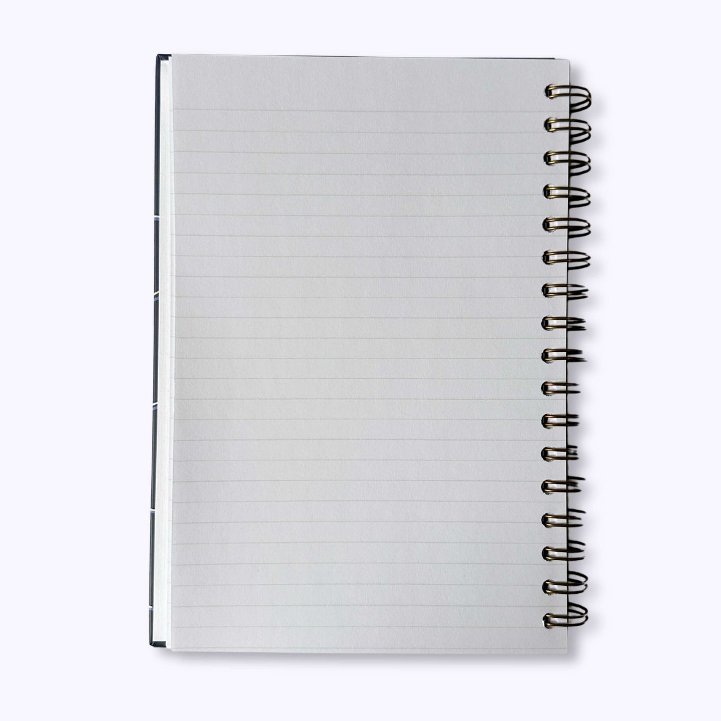 Casco Bay Journal