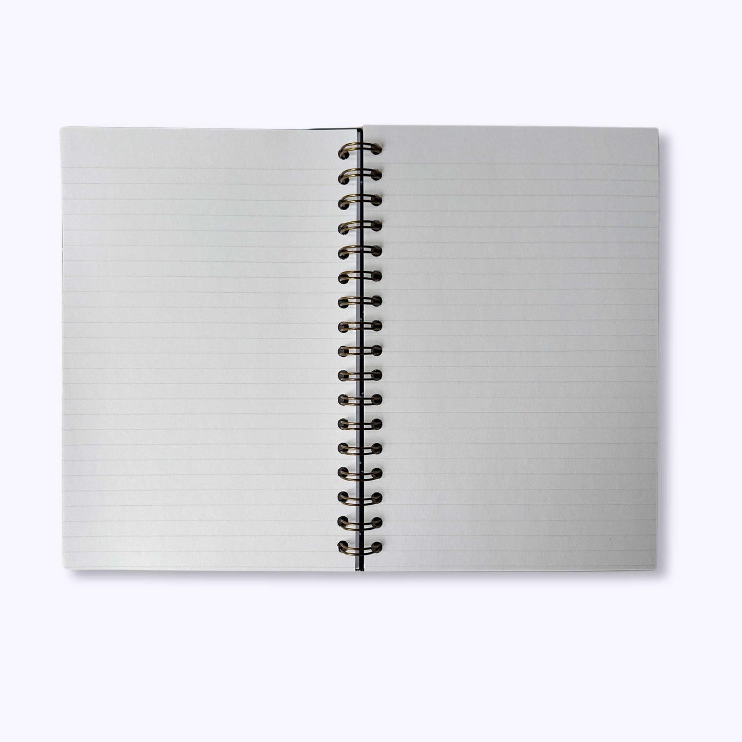 Casco Bay Journal