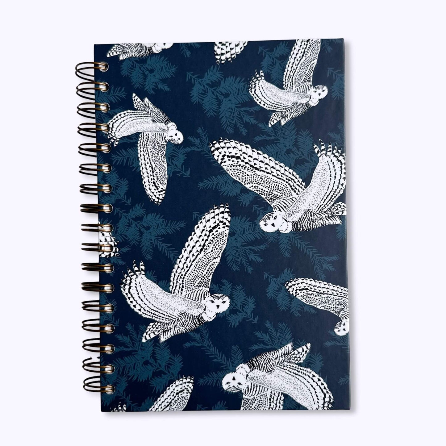 Snowy Owl Journal