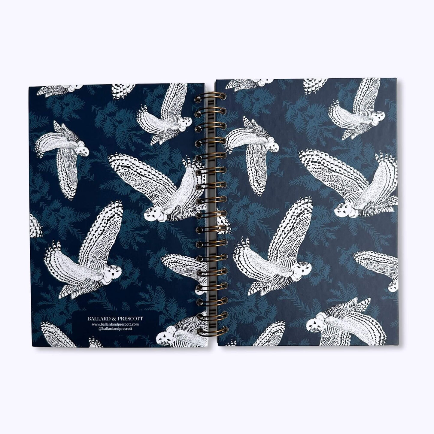 Snowy Owl Journal