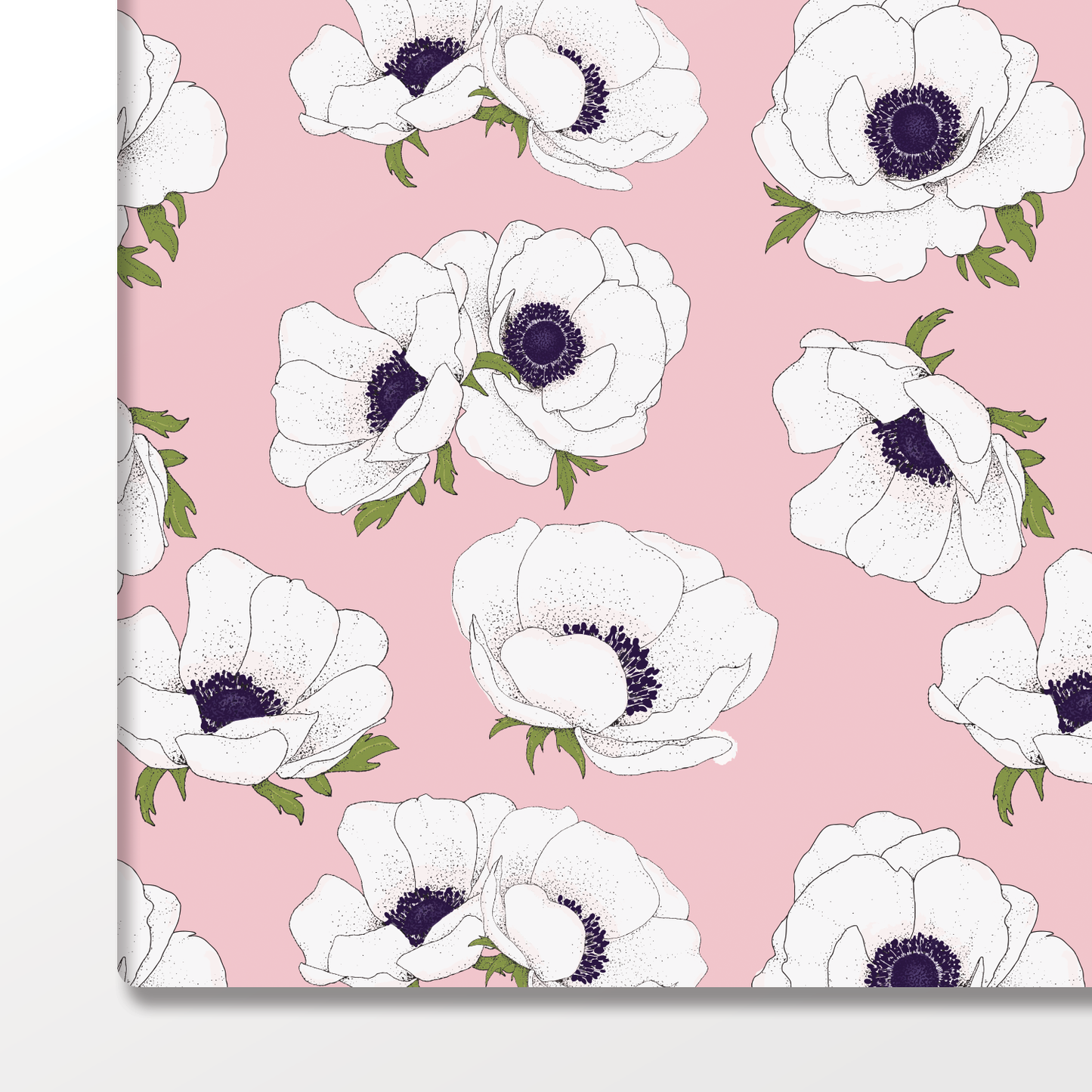 White Anemone on Pink Wrapping Paper