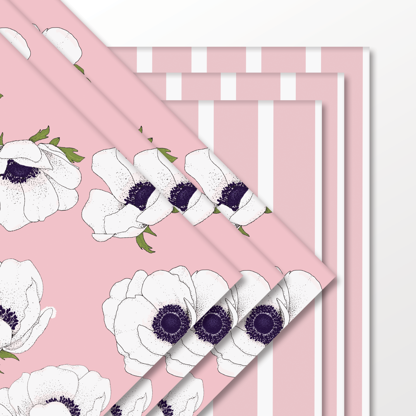White Anemone on Pink Wrapping Paper