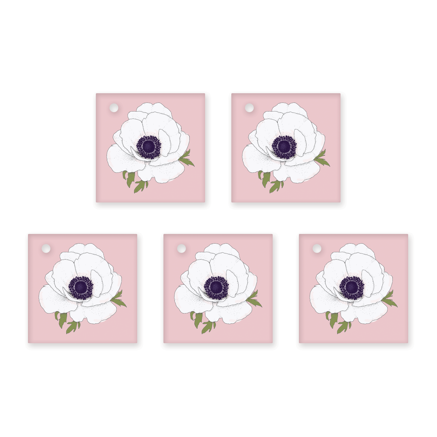 White Anemone on Pink Wrapping Paper